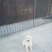 Profile Picture of Ferrante Paolo (@ferrante.paolo.52) on Facebook