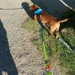 Profile Picture of Sebik Braun (@Sebik-Braun) on Facebook