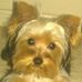 Profile Picture of Michelle Chauncey (@michelle.chauncey.3) on Facebook