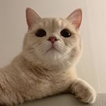Profile Picture of 김혜진 (@o3o_hyejin) on Instagram