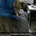 Profile Picture of Aaron Bertschinger (@22abertschinger) on Pinterest