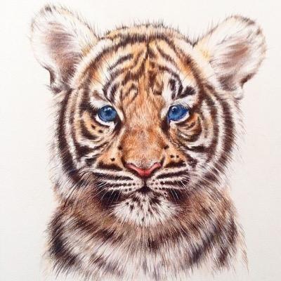Profile Picture of Joshua Bonilla (@josh92500671) on Twitter