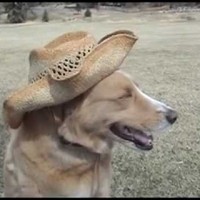 Profile Picture of Paul Uribe (@paul-uribe-1) on Quora