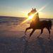 Profile Picture of Alyssa Neufeld (@alyssa_neufeld) on Pinterest