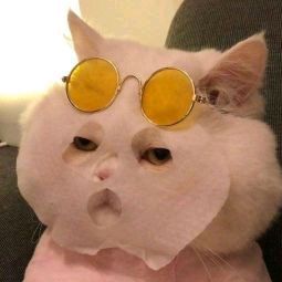 Profile Picture of glennise (@glennise1) on Tiktok