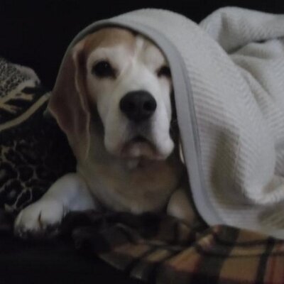 Profile Picture of Ulli Zeon (@MiaZuhl) on Twitter