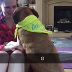 Profile Picture of Nancygilday (@nancygilday6864) on Instagram