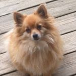 Profile Picture of Ann (@annechols) on Instagram