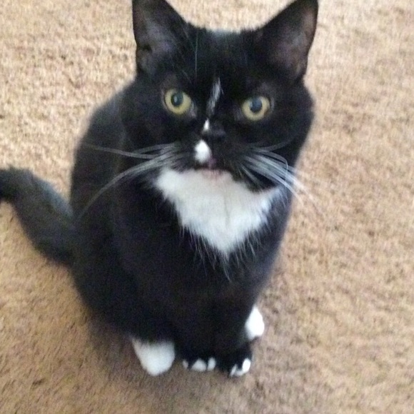 Profile Picture of Abbie Schrecengost (@rckclmbr45) on Poshmark