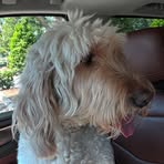 Profile Picture of Micheal Lange (@micheal.lange.994531) on Facebook