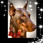 Profile Picture of Christopher Prue (@christopher.prue.5) on Instagram