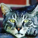 Profile Picture of Joseph mendez (@joe_mendez77) on Instagram