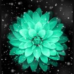 Profile Picture of Wanda Duncan (@wanda.duncan.400) on Instagram
