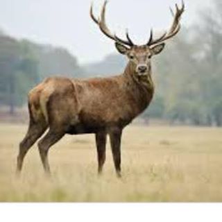 Profile Picture of Darren Copas (@darren.copas.7) on Facebook