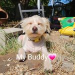 Profile Picture of Haney Timothy (@nightwolfgamerbrotherhood) on Instagram