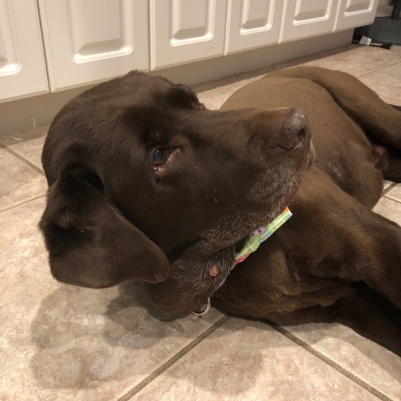 Profile Picture of Deb Ridall (@debbier69) on Poshmark