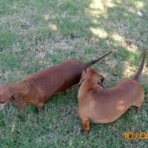 Profile Picture of Christopher Snowden (@250910133) on Myspace