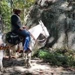 Profile Picture of Keith Denham (@lambman20) on Instagram