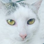 Profile Picture of Faragó Júlia Ráchel (@faragojuliarachel) on Instagram