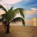 Profile Picture of Steve Vasconcelos (@stevev0462) on Pinterest