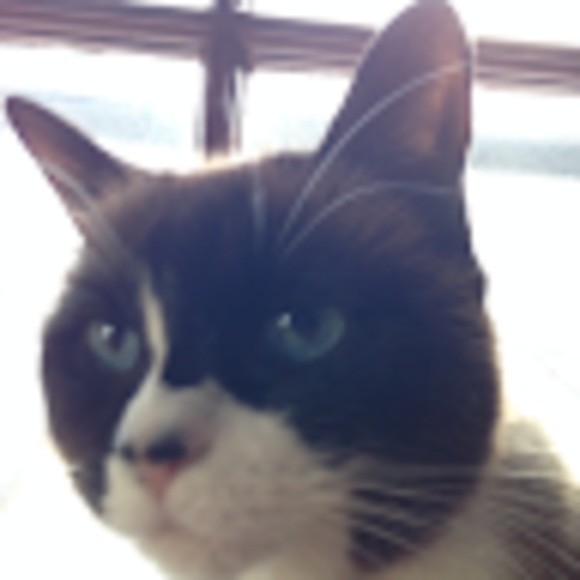 Profile Picture of Peter Lebel (@peterlebel) on Poshmark