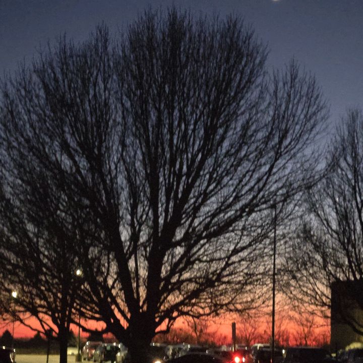 Profile Picture of kd (@katedurham) on Tiktok