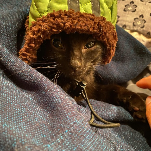 Profile Picture of Diane Opperman (@dopperman17) on Poshmark