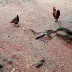 Profile Picture of Candi Miguel (@candi.miguel.77) on Facebook