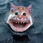 Profile Picture of jeffrey sperl (@a_pictureofnectar) on Instagram