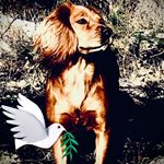 Profile Picture of Luke Goodfellow (@luke.goodfellow.967) on Instagram