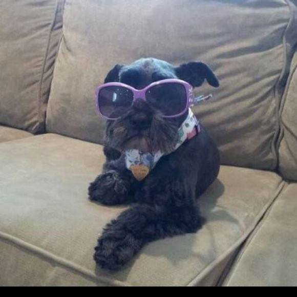 Profile Picture of Peter Gibbs (@peterg208) on Poshmark