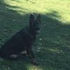 Profile Picture of Erik Dickson (@@erikdickson3) on Tiktok