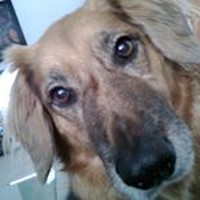 Profile Picture of Daniel Crenshaw (@daniel-crenshaw-2) on Quora