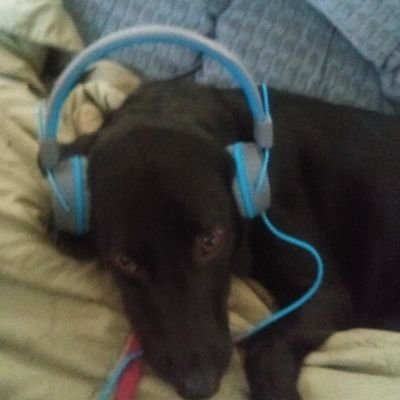 Profile Picture of Nicholas Kellerstrass (@NKellerstrass) on Twitter
