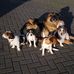 Profile Picture of Paul Steffens (@paul.steffens.7505) on Facebook