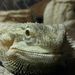 Profile Picture of Daniel Hilley (@dhilley75dh) on Pinterest