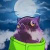 Profile Picture of darinjenkins5 (@@darinjenkins5) on Tiktok