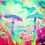 Profile Picture of chad raneri (@plasthic_taste) on Instagram