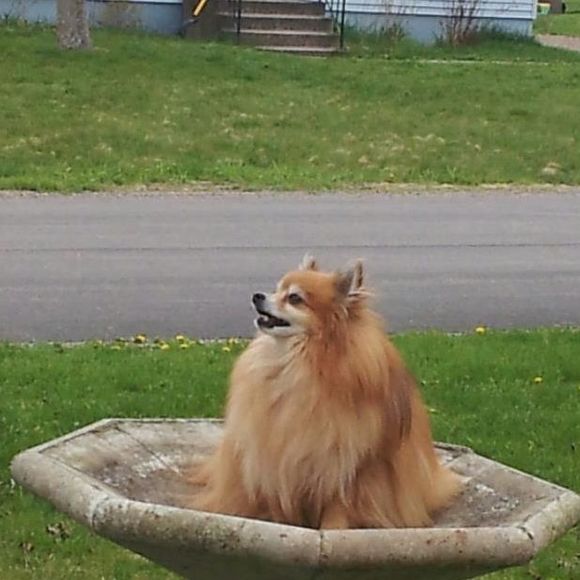 Profile Picture of Martine Stokes (@marchastokes) on Poshmark