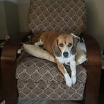 Profile Picture of amy_albertson1 (@amy_albertson1) on Instagram