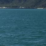 Profile Picture of Jason Perry (@jasonperrychev) on Instagram