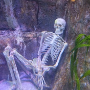 Profile Picture of Yusuf.k (@yusuf.k-s5z) on Youtube