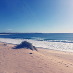 Profile Picture of Jeremy Mann (@chimera_reunion) on Flickr