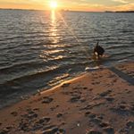 Profile Picture of Lisa Gaudette (@lisa.gaudette.5) on Instagram