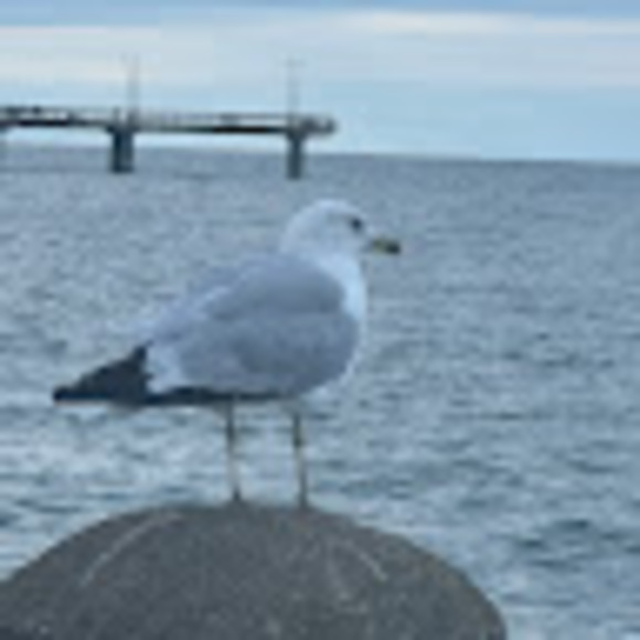 Profile Picture of Mahlet kenaw Kenaw (@optmist2426) on Poshmark