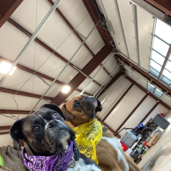 Profile Picture of Preston Meldrum (@stonmeld89) on Poshmark