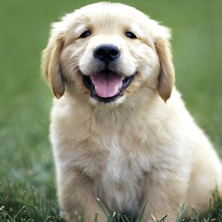 Profile Picture of Daniel Štaindler (@daniel.staindler) on Facebook