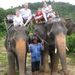 Profile Picture of Brooke Gordon (@guojia) on Pinterest
