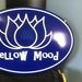 Profile Picture of Mellow Mood (@charlestonmood) on Pinterest
