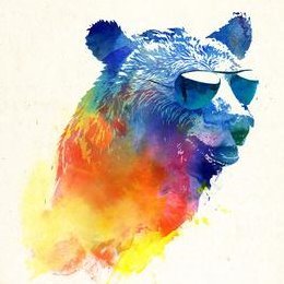 Profile Picture of Jackson Connell (@JacksonConnel10) on Twitter